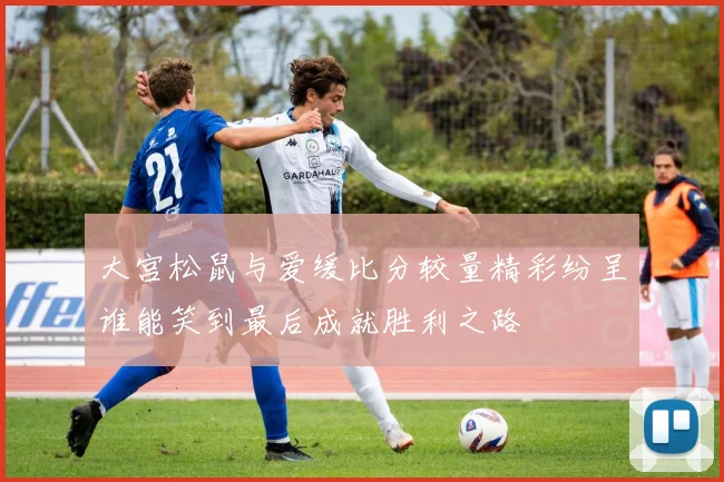 大宫松鼠与爱缓比分较量精彩纷呈谁能笑到最后成就胜利之路