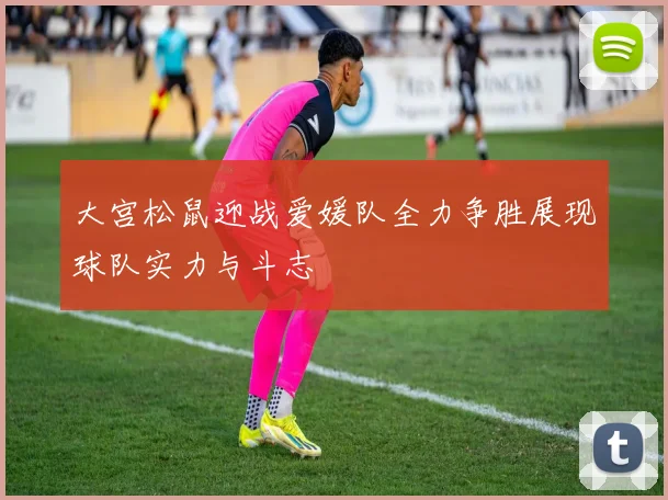 大宫松鼠迎战爱媛队全力争胜展现球队实力与斗志