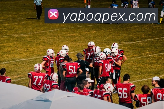 亚博体育APP 高清赛事图